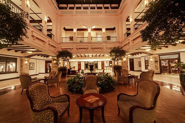 Dining & Bar Experiences