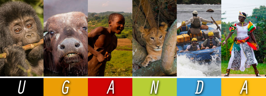 Able Safaris Ltd