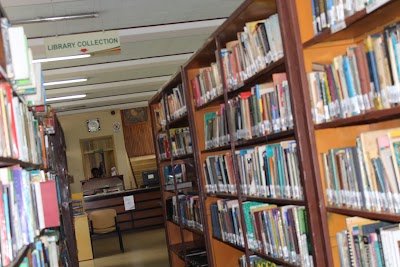 Children’s Library Services