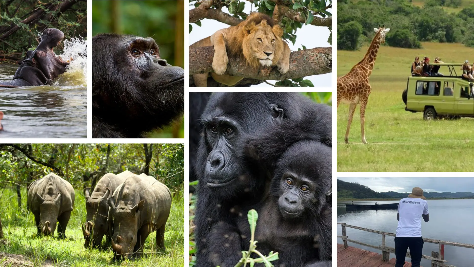 Access Budget Safaris
