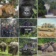 Wildlife & Game Safaris
