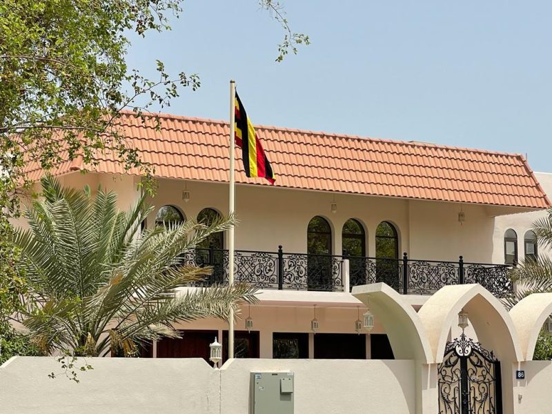 Consulates & Embassies