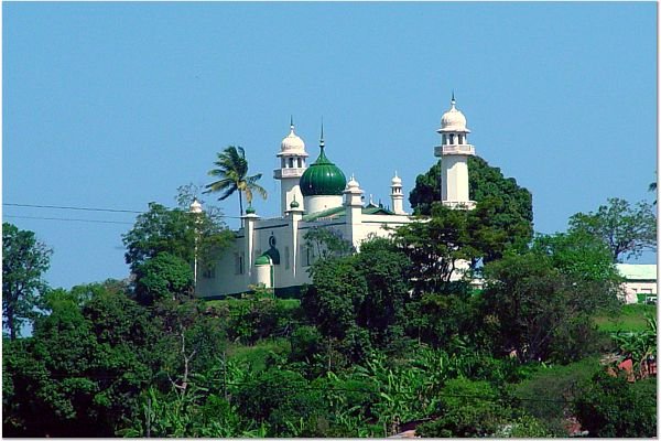 Cultural & Historical Engagement