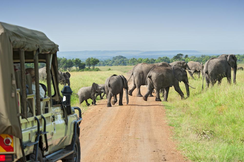 Transport & Vehicles