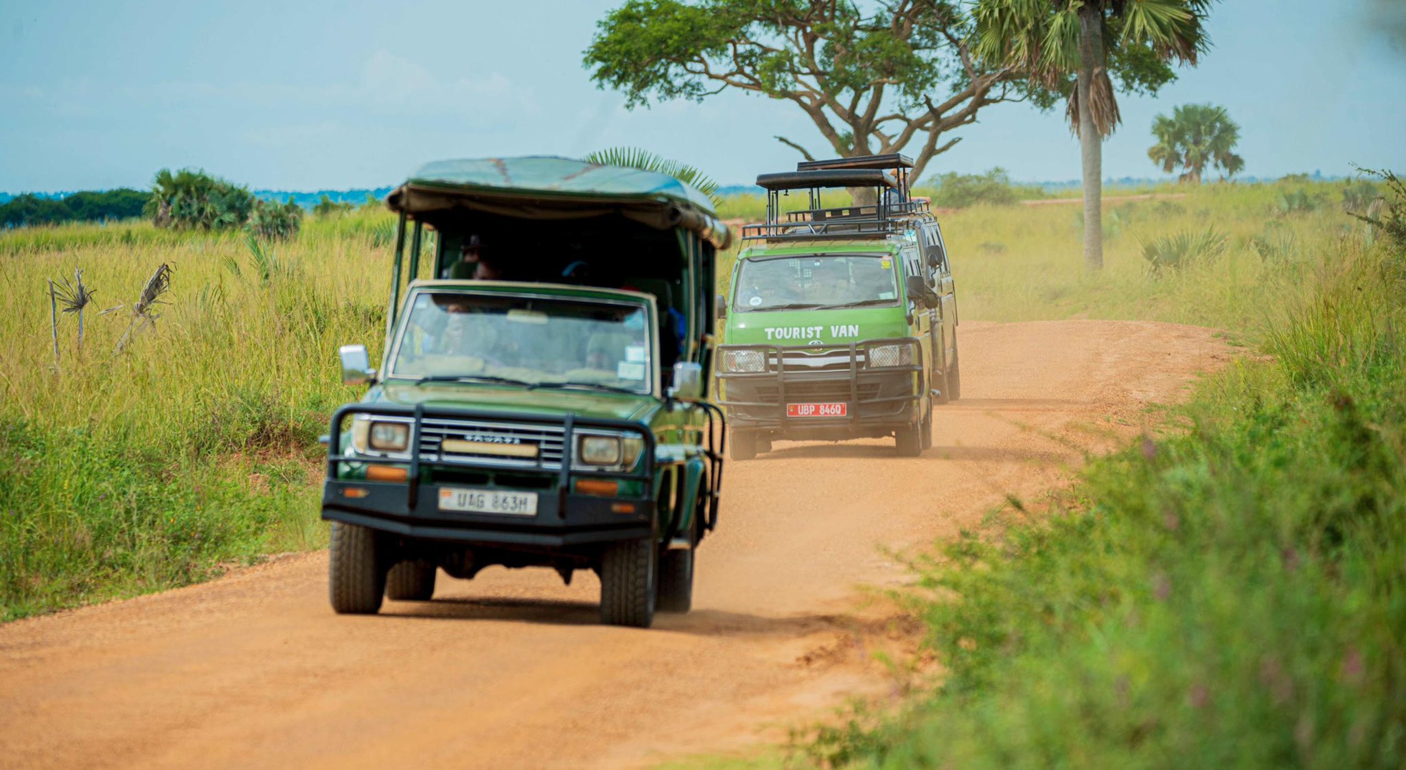 Wildlife Safaris