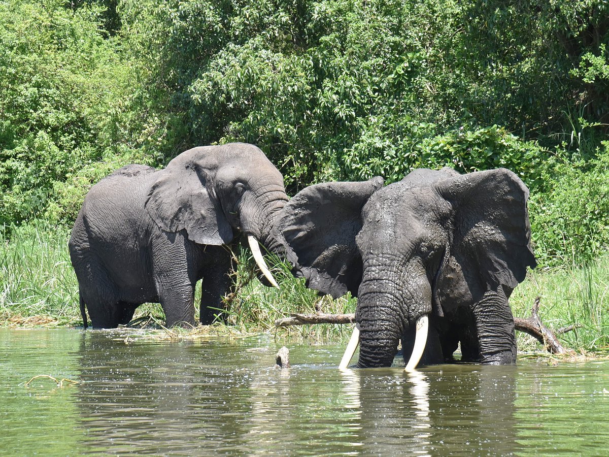 Pamoja Tour and Travel