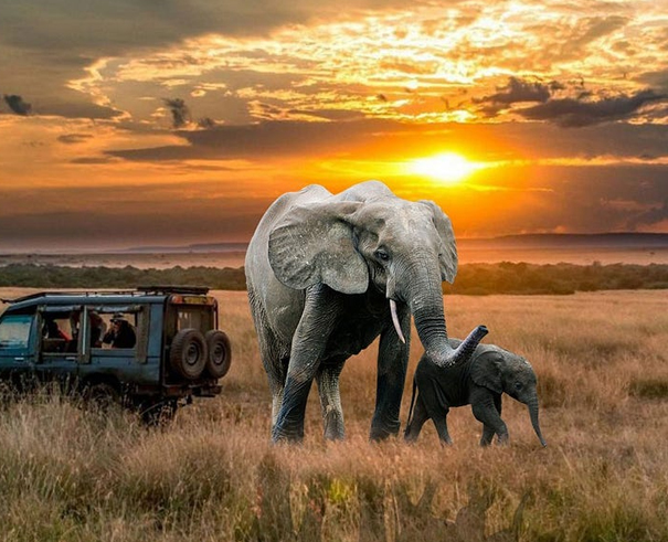 Ababa Uganda Safaris