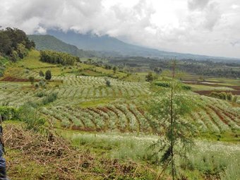 Adventure & Cultural Tours