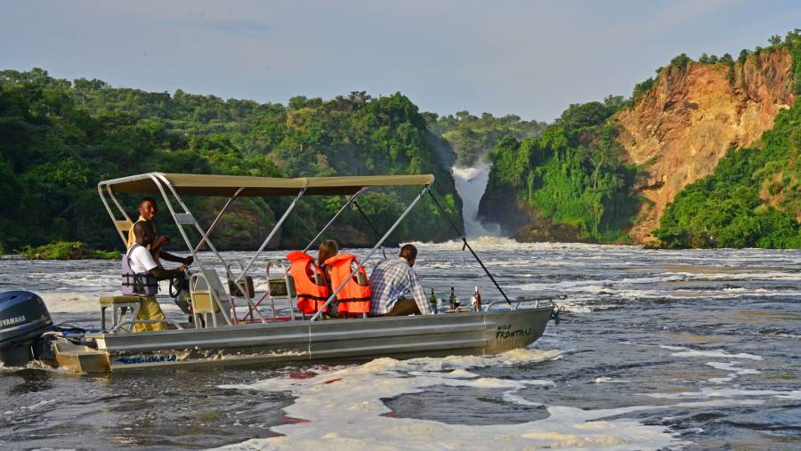 Wildlife & Boat Experiences