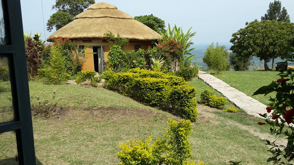 Accommodation & Transport