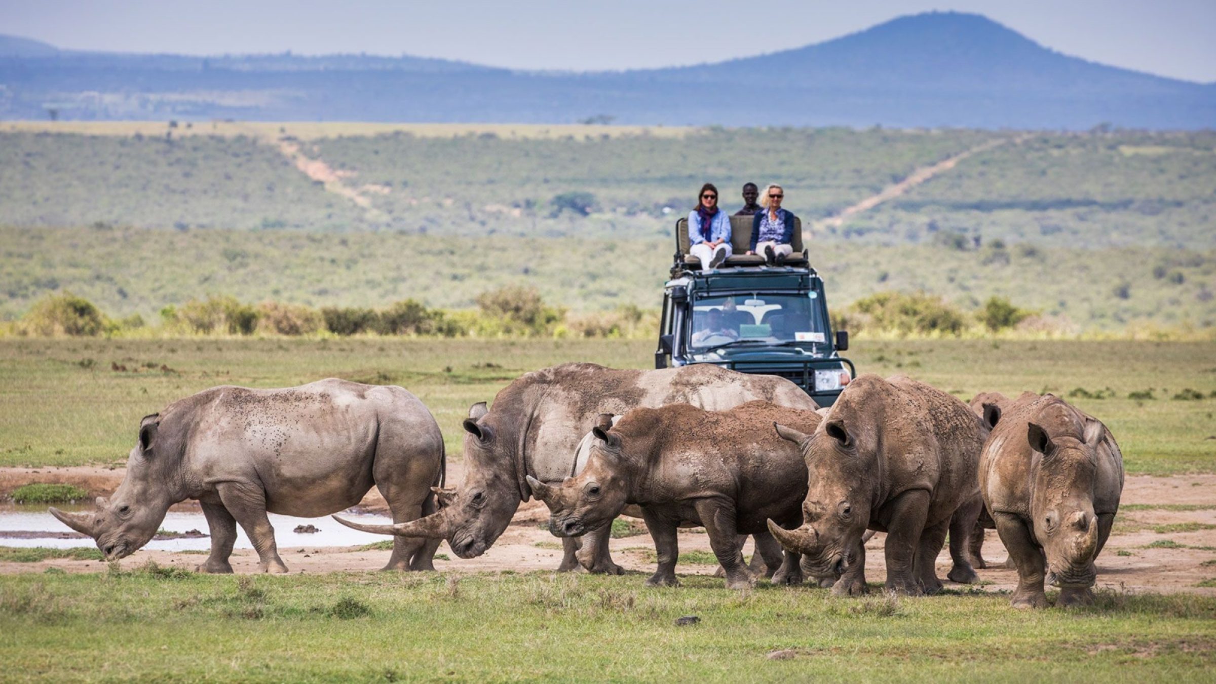 Full Safari Itineraries
