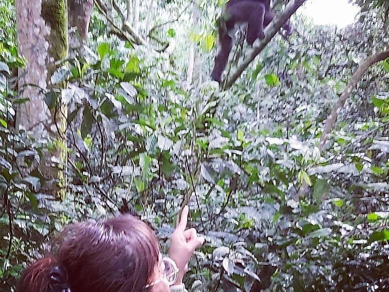 Budget Gorilla & Primate Tours