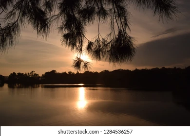 Water Source & Environmental Asset