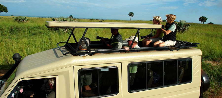Adventure & Nature Activities